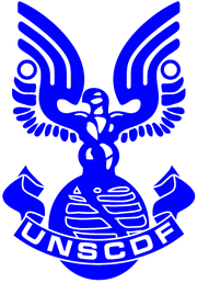 Blue UNSCDF Logo