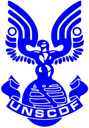 Blue UNSCDF Logo.gif