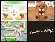 Nintendogsscreens