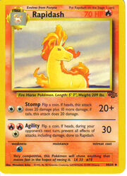 Rapidash c