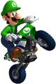 Luigi in Mario Kart Wii