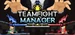 Teamfight Manager