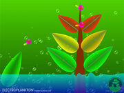 Electroplankton2.jpg