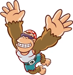 Funky Kong's current appearance, as first seen in DK: King of Swing