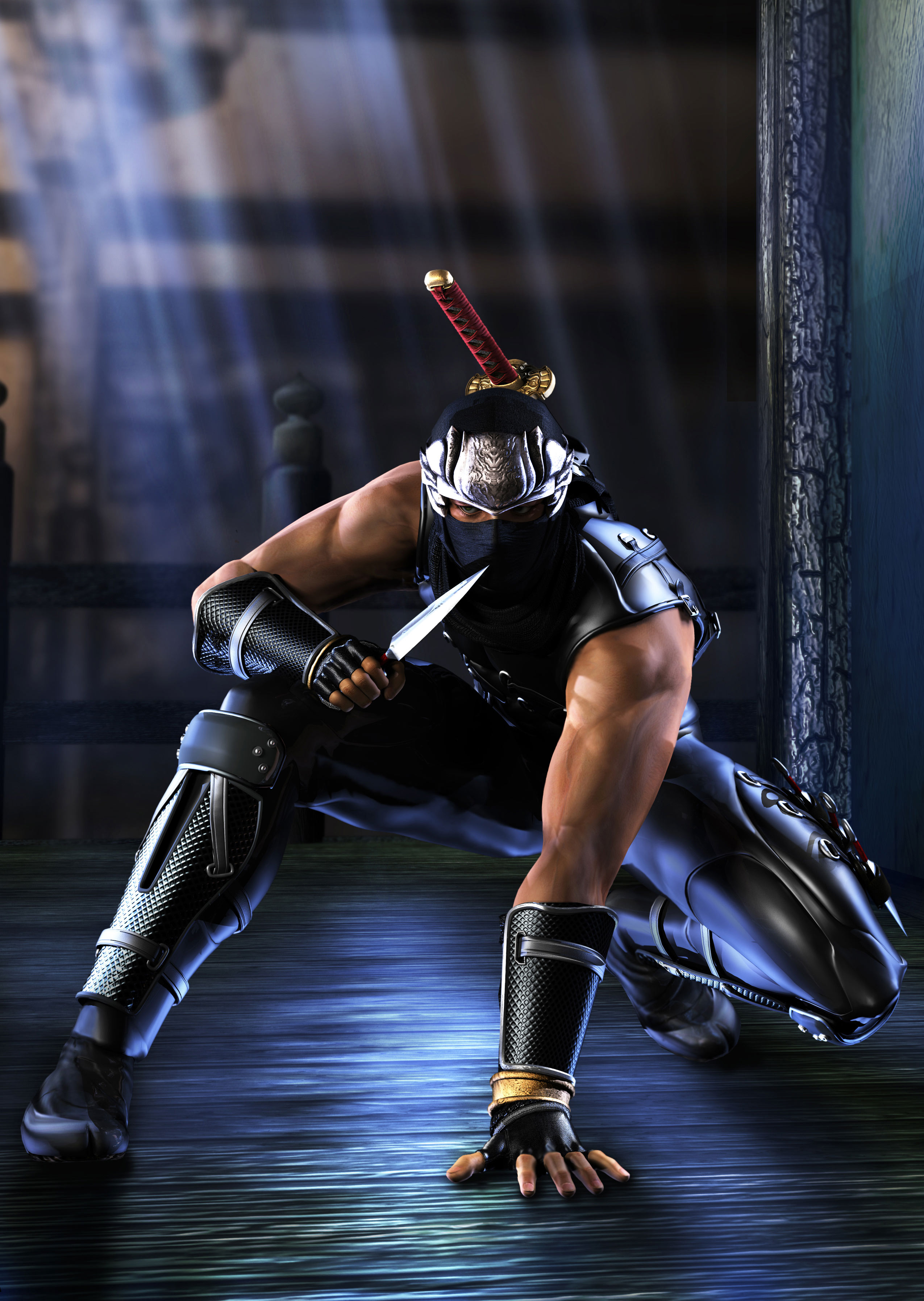 Ryu Hayabusa - Codex Gamicus - Humanity's collective gaming