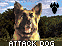 RA1 DOG.png