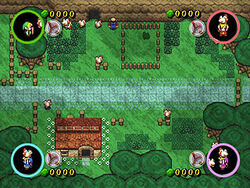 Cucco wrangling.jpg