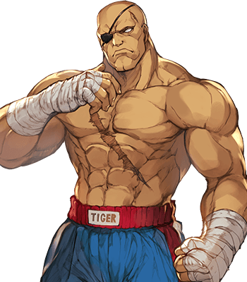 Muay Thai, Street Fighter Wiki