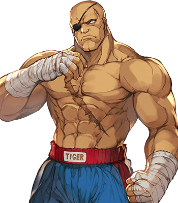 street fighter characters sagat