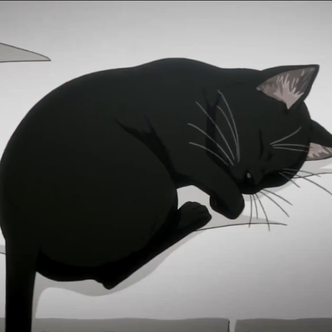 List of Black Cat episodes - Wikipedia