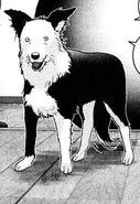 Rice as he appears in the manga