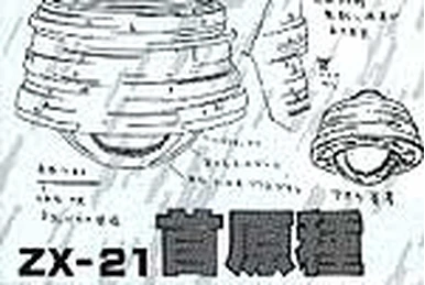 ZX-21 | GaoGaiGar-Betterman Wiki | Fandom