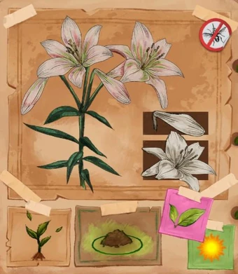Lily | Garden Life: A Cozy Simulator Wiki | Fandom