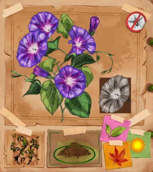 latest?cb=20241231120434