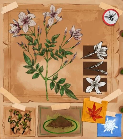 Jasmine (plant) | Garden Life: A Cozy Simulator Wiki | Fandom