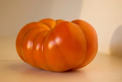 Tomato Marmande