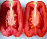 Hollow fruit