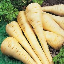 Parsnips