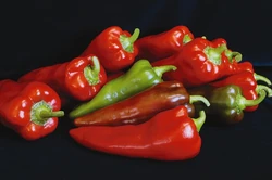 Sweet pepper Carmen