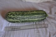 Marrow