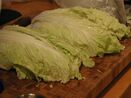 Chinese Cabbage.jpg (65 KB) Chinese cabbage