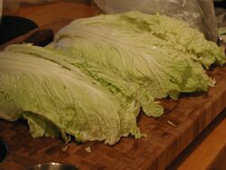 Chinese Cabbage