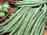 French bean