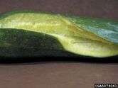 Split fruit on a cucumber