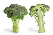 Broccoli and cross 