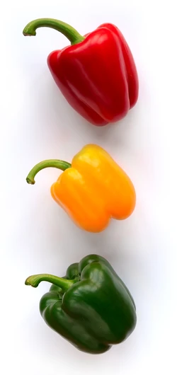 Sweet pepper Bell pepper