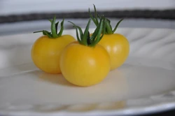 Tomato Wapsipinicon peach Indeterminate