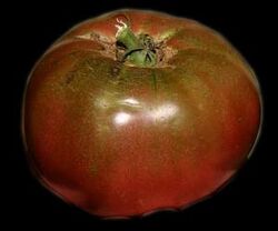 Tomato Cherokee Purple Fruit