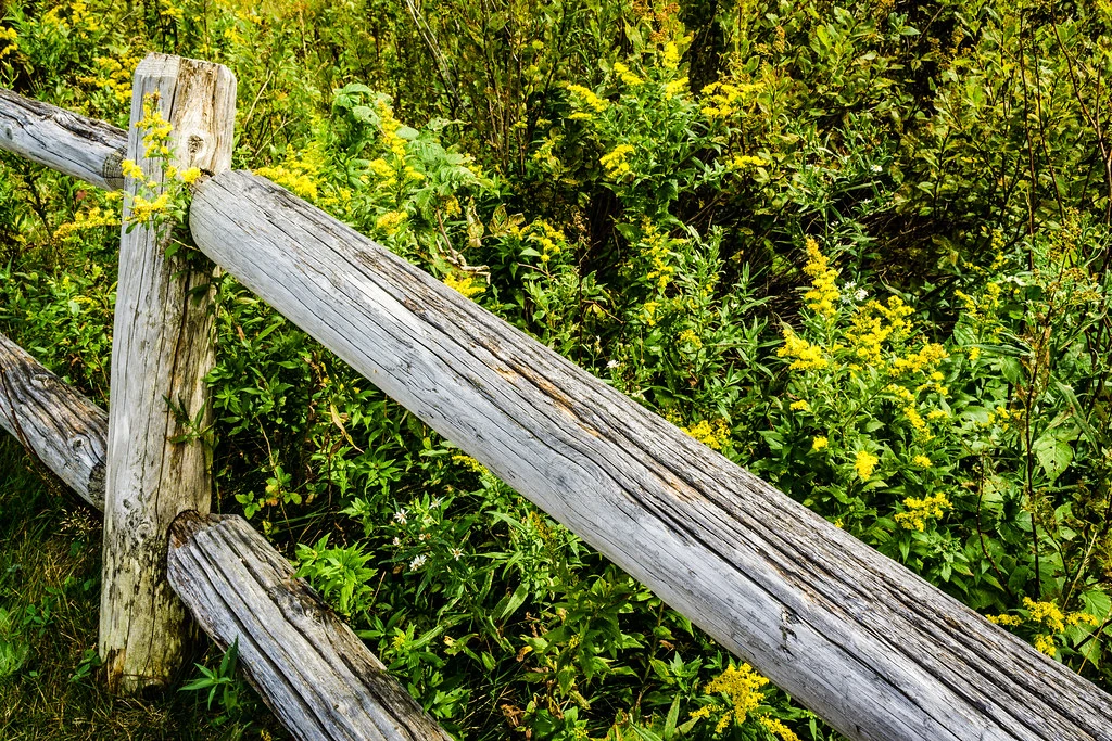 Fencing Gardening in Calgary Wiki Fandom