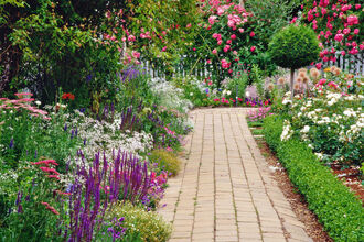 Lovely-summer-garden-63355