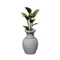 Birch Plant.png