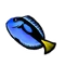 Royal Blue Fish