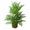 Potted Tree Small.png