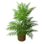 Small Potted Tree