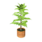 Potted Palm Tree.png