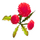 Red Dandelion.png