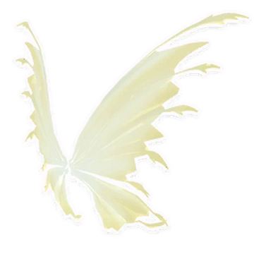 Pastel fairy wings 2025