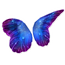 Butterfly Galaxy Wings