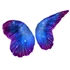 Butterfly Galaxy Wings (40 KB) Butterfly Galaxy Wings