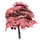 Cherry Tree Mature.png