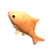 Gold Fish