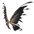 Black and Gold Fairy Wings