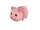 Piglet