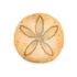 Sand Dollar