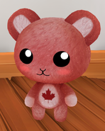 Sparkling Canada Bear skin