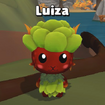 Luiza (Succulents questline in Year 5)